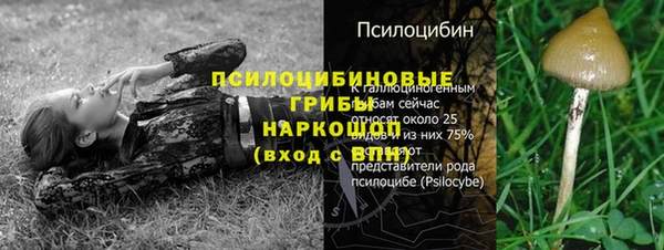 гашишное масло Богородицк