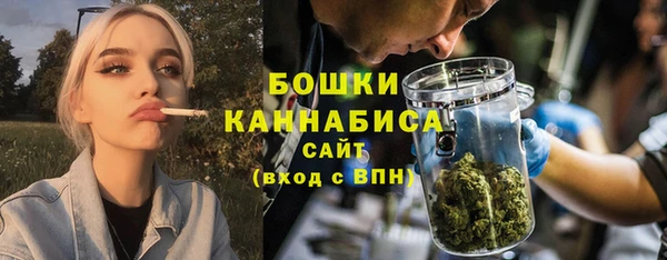 стафф Богородск