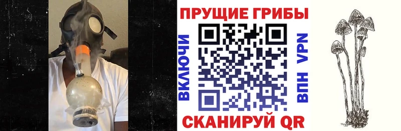 Купить  Протвино  Псилоцибиновые грибы прущие грибы 